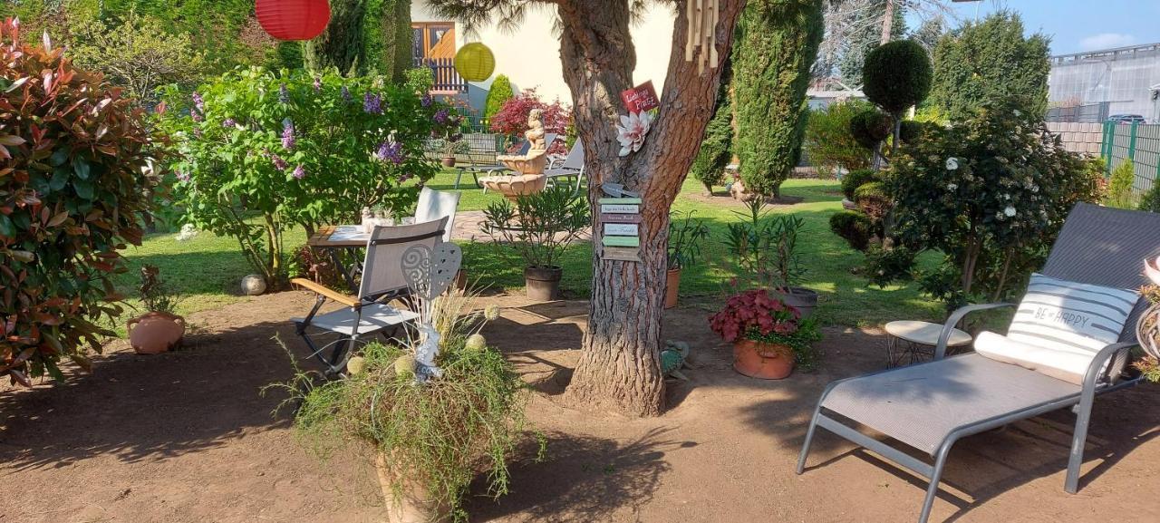 Pfalz-apartment Mein