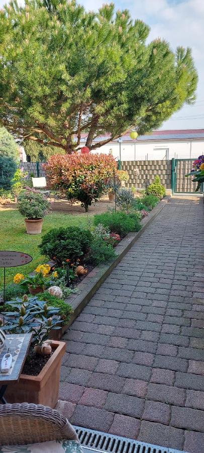 Appartamento Pfalz-apartment Mein Grosskarlbach